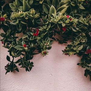 Meet your Posher, Fiona